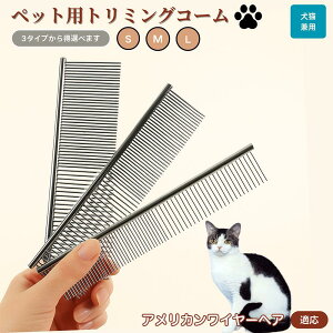 y10{|Cgz AJC[wA American Wirehair ybgpi uV R[ p Lp O[~O g~O  ubVO  ю ыʎ m~ }bT[