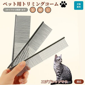 y10{|CgzGWvV}E Egyptian Mau ybgpi uV R[ p Lp O[~O g~O  ubVO  ю ыʎ m~ }bT[W Nێ 