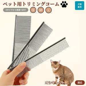 y10{|CgzIVLbg Ocicat ybgpi uV R[ p Lp O[~O g~O  ubVO  ю ыʎ m~ }bT[W Nێ Lp
