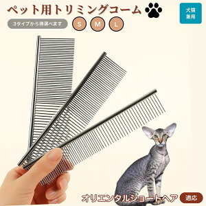 y10{|CgzIG^V[gwA Oriental Shorthair ybgpi uV R[ p Lp O[~O g~O  ubVO  ю ыʎ m~ }bT