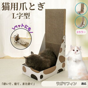 y5{|CgzK}tB RagaMuffin L^ L܂Ƃ LbgXNb`[ ܌{[h _{[ 4w\ v  芴Q ǌp Ƌی XgX L