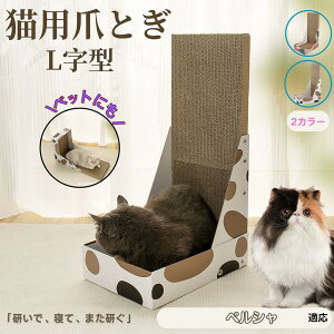 y5{|CgzyV Persian L^ L܂Ƃ LbgXNb`[ ܌{[h _{[ 4w\ v  芴Q ǌp Ƌی XgX Lp ^