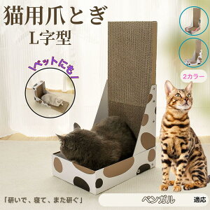 y5{|CgzxK L^ L܂Ƃ LbgXNb`[ ܌{[h _{[ 4w\ v  芴Q ǌp Ƌی XgX Lp ^L