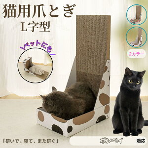 y5{|Cgz{xC Bombay L^ L܂Ƃ LbgXNb`[ ܌{[h _{[ 4w\ v  芴Q ǌp Ƌی XgX Lp ^