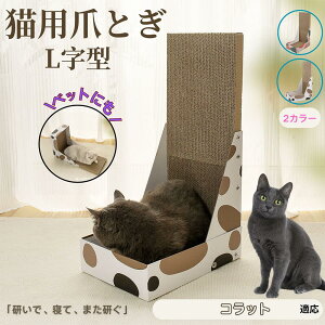 y5{|CgzRbg Korat L^ L܂Ƃ LbgXNb`[ ܌{[h _{[ 4w\ v  芴Q ǌp Ƌی XgX Lp ^