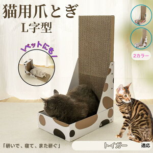 y5{|CgzgCK[ Toyger L^ L܂Ƃ LbgXNb`[ ܌{[h _{[ 4w\ v  芴Q ǌp Ƌی XgX Lp ^