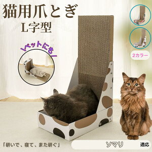 y5{|Cgz\} Somali L^ L܂Ƃ LbgXNb`[ ܌{[h _{[ 4w\ v  芴Q ǌp Ƌی XgX Lp ^L