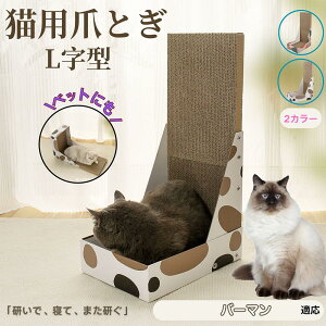 y5{|Cgzo[} Birman L^ L܂Ƃ LbgXNb`[ ܌{[h _{[ 4w\ v  芴Q ǌp Ƌی XgX Lp ^