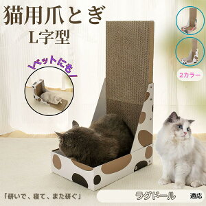 y5{|CgzOh[ L^ L܂Ƃ LbgXNb`[ ܌{[h _{[ 4w\ v  芴Q ǌp Ƌی XgX Lp ^L