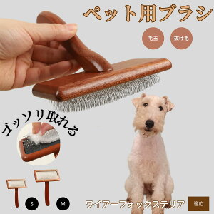 y10{|CgzC[tHbNXeAiWire Fox Terrierj ybguV LuV uV ybgpuV XbJ[uV ю Z  puV LpuV Lp ybg