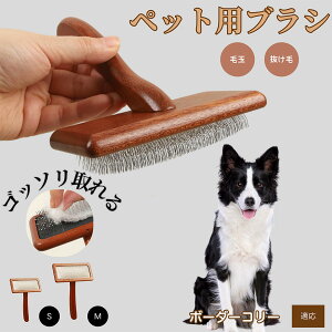 y10{|Cgz{[_[ER[iBorder Colliej ybguV LuV uV ybgpuV XbJ[uV ю Z  puV LpuV Lp ybgpubV