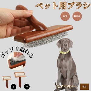 y10{|CgzC}i[iWeimaranerj ybguV LuV uV ybgpuV XbJ[uV ю Z  puV LpuV Lp ybgpubVOu