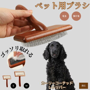 【10倍ポイント】カーリーコーテッド・レトリバー( ペットブラシ 猫ブラシ 犬ブラシ ペット用ブラシ スリッカーブラシ 抜け毛取り 短毛 中毛 犬用ブラシ 猫用ブラシ 犬猫用 ペット用ブラ