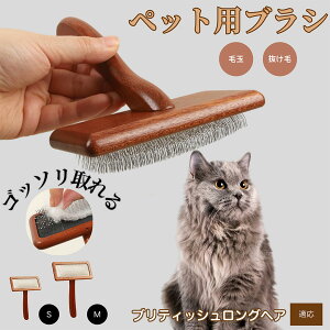 y10{|CgzueBbVOwA British Longhair ybguV LuV uV ybgpuV XbJ[uV ю Z  puV LpuV Lp ybgpu