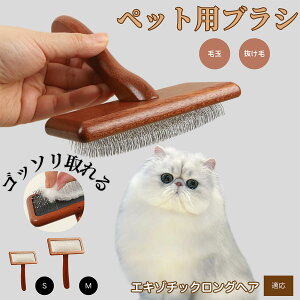 y10{|CgzGL]`bNOwA Exotic Longhair ybguV LuV uV ybgpuV XbJ[uV ю Z  puV LpuV Lp ybgpu