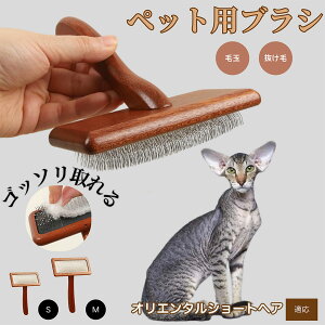 y10{|CgzIG^V[gwA Oriental Shorthair ybguV LuV uV ybgpuV XbJ[uV ю Z  puV LpuV Lp ybgp