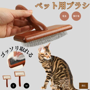 y10{|CgzgCK[ Toyger ybguV LuV uV ybgpuV XbJ[uV ю Z  puV LpuV Lp ybgpubVOuV ې