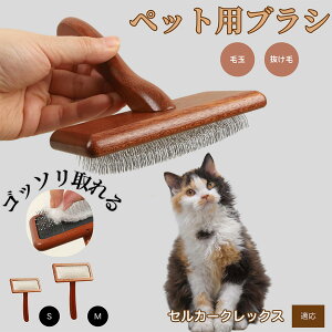 y10{|CgzZJ[NbNX Selkirk Rex ybguV LuV uV ybgpuV XbJ[uV ю Z  puV LpuV Lp ybgpubV