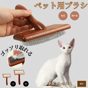 y10{|Cgzf{bNX Devon Rex ybguV LuV uV ybgpuV XbJ[uV ю Z  puV LpuV Lp ybgpubVOu