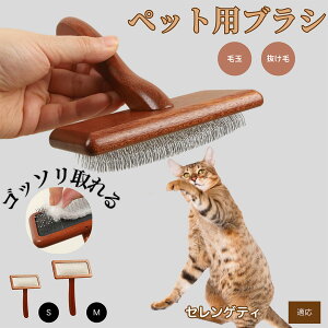 y10{|CgzZQeB Serengeti Cat ybguV LuV uV ybgpuV XbJ[uV ю Z  puV LpuV Lp ybgpubVOu