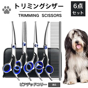 y10{|CgzrAfbhER[iBearded Colliej g~O VU[  nT~ ͂ g~OVU[ XLoT~ ZjO Jbg U  L ybg ^ ^ ^ g}[ R[