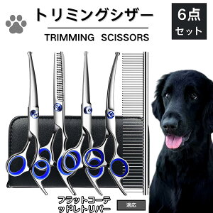 y10{|CgztbgR[ebhEgo[ g~O VU[  nT~ ͂ g~OVU[ XLoT~ ZjO Jbg U  L ybg ^ ^ ^ g}[ R[