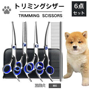 y10{|Cgz g~O VU[  nT~ ͂ g~OVU[ XLoT~ ZjO Jbg U  L ybg ^ ^ ^ g}[ R[  e S S