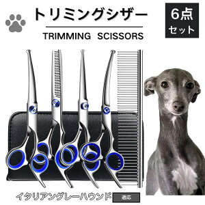 y10{|CgzC^AO[nEh g~O VU[  nT~ ͂ g~OVU[ XLoT~ ZjO Jbg U  L ybg ^ ^ ^ g}[ R[ 