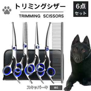 y10{|CgzXLbp[Li schipperke j g~O VU[  nT~ ͂ g~OVU[ XLoT~ ZjO Jbg U  L ybg ^ ^ ^ g}[ R[ 