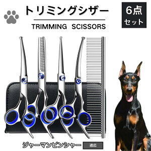 y10{|CgzW[}EsV[ g~O VU[  nT~ ͂ g~OVU[ XLoT~ ZjO Jbg U  L ybg ^ ^ ^ g}[ R[ 