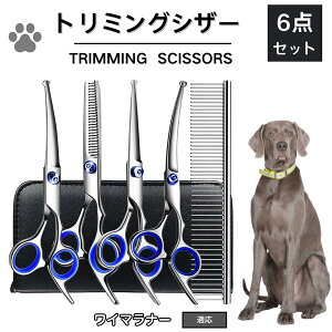 y10{|CgzC}i[iWeimaranerj g~O VU[  nT~ ͂ g~OVU[ XLoT~ ZjO Jbg U  L ybg ^ ^ ^ g}[ R[ 