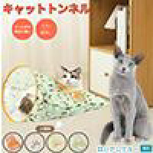 y5{|CgzVAu[ VA Russian Blue Lgl Lbggl ܂肽ݎ ybggl Lp   B  ^s  XgXU Rp