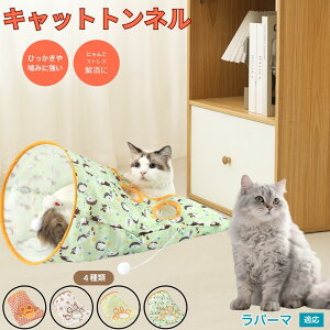 y5{|Cgzp[} Ep[} LaPerm Lgl Lbggl ܂肽ݎ ybggl Lp   B  ^s  XgXU RpNg[