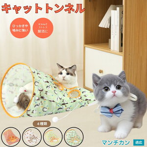 y5{|Cgz}`J Munchkin Lgl Lbggl ܂肽ݎ ybggl Lp   B  ^s  XgXU RpNg[ 􂦂 