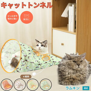 y5{|CgzL Lambkin Lgl Lbggl ܂肽ݎ ybggl Lp   B  ^s  XgXU RpNg[ 􂦂 i