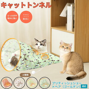 y5{|CgzueBbVV[gwAiS[fj Lgl Lbggl ܂肽ݎ ybggl Lp   B  ^s  XgX