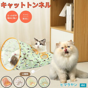 y5{|Cgzq} q}Lbg Himalayan Lgl Lbggl ܂肽ݎ ybggl Lp   B  ^s  XgXU R