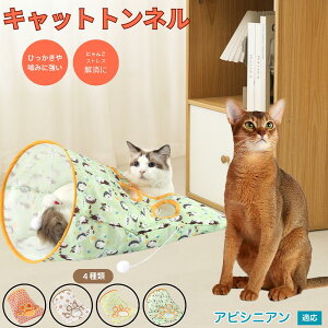 y5{|CgzArVjA Abyssinian Lgl Lbggl ܂肽ݎ ybggl Lp   B  ^s  XgXU RpNg[ 