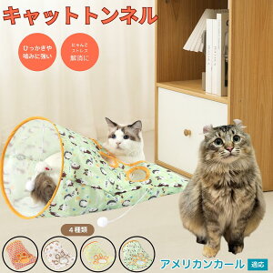 y5{|CgzAJJ[ American Curl Lgl Lbggl ܂肽ݎ ybggl Lp   B  ^s  XgXU RpNg