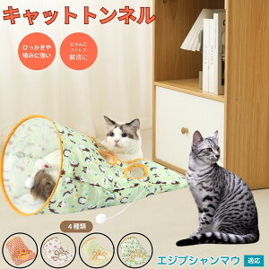 y5{|CgzGWvV}E Egyptian Mau Lgl Lbggl ܂肽ݎ ybggl Lp   B  ^s  XgXU RpNg