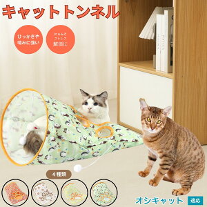 y5{|CgzIVLbg Ocicat Lgl Lbggl ܂肽ݎ ybggl Lp   B  ^s  XgXU RpNg[ 􂦂