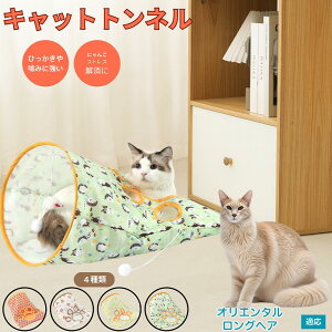 y5{|CgzIG^OwA Oriental Longhair Lgl Lbggl ܂肽ݎ ybggl Lp   B  ^s  XgXU R