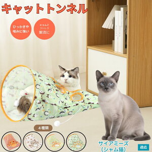 y5{|CgzTCA~[Y VL Siamese Lgl Lbggl ܂肽ݎ ybggl Lp   B  ^s  XgXU RpNg