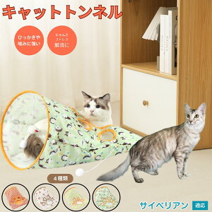 y5{|CgzTCxA Siberian Lgl Lbggl ܂肽ݎ ybggl Lp   B  ^s  XgXU RpNg[ 