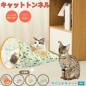 y5{|CgzToiLbg Savannah Cat Lgl Lbggl ܂肽ݎ ybggl Lp   B  ^s  XgXU RpNg