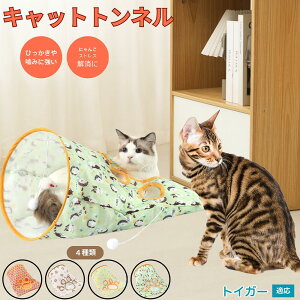 y5{|CgzgCK[ Toyger Lgl Lbggl ܂肽ݎ ybggl Lp   B  ^s  XgXU RpNg[ 􂦂 i