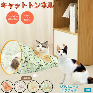 y5{|CgzWpj[Y{ueC Lgl Lbggl ܂肽ݎ ybggl Lp   B  ^s  XgXU RpNg[ 