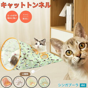 y5{|CgzVKv[ Singapura Lgl Lbggl ܂肽ݎ ybggl Lp   B  ^s  XgXU RpNg[ 