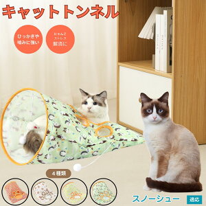 y5{|CgzXm[V[ Snowshoe Lgl Lbggl ܂肽ݎ ybggl Lp   B  ^s  XgXU RpNg[ 