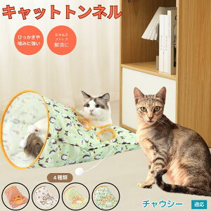 y5{|Cgz`EV[ Chausie Lgl Lbggl ܂肽ݎ ybggl Lp   B  ^s  XgXU RpNg[ 􂦂 